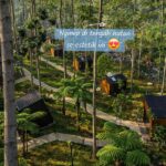 Hotel Bobocabin Puncak Bogor Cocok Quality Time Sama Pasangan Di Hutan
