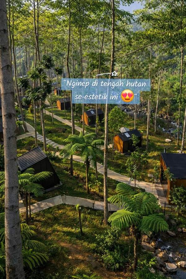Hotel Bobocabin Puncak Bogor Cocok Quality Time Sama Pasangan Di Hutan