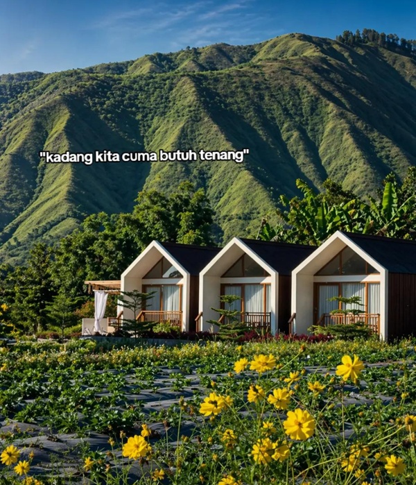 Hotel Rautani Sembalun Lombok View Gunung Super Estetik