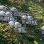 Damar Langit Resort Bogor Regency Udara Sejuk Suasana Sunyi Menenangkan