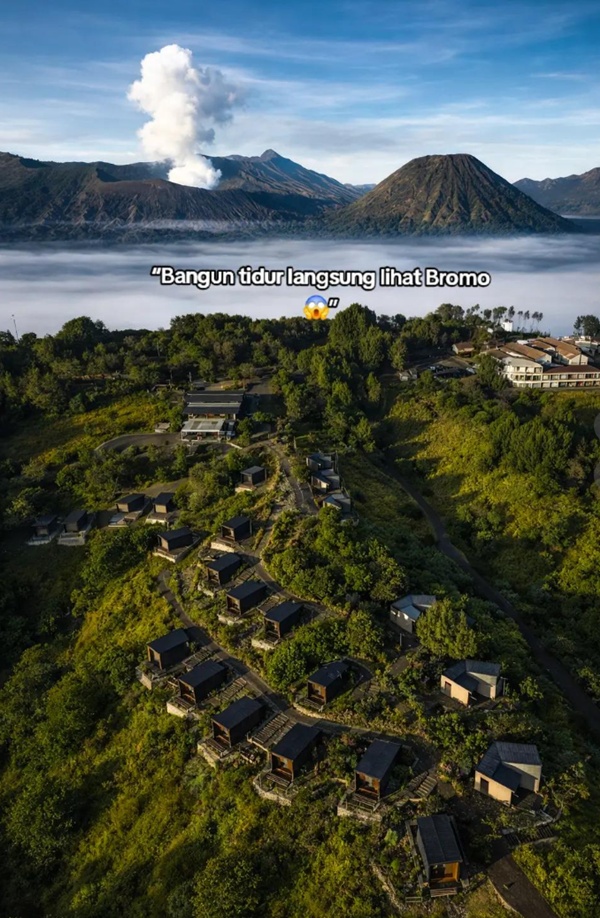 Hotel Artotel Cabin Bromo