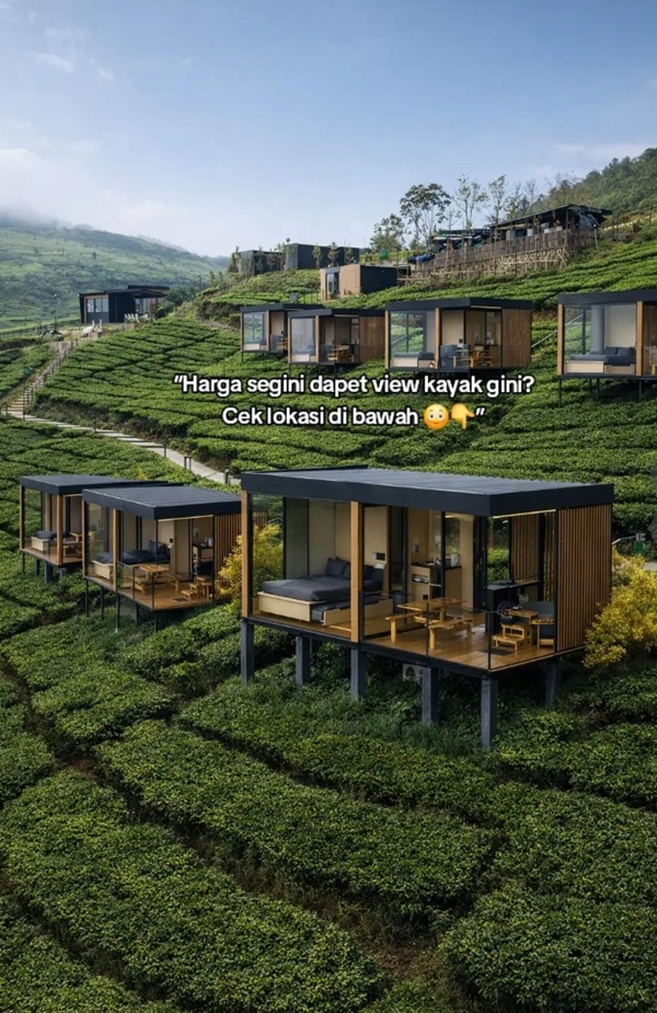 Villa Bobocabin Signature Kawah Ciwidey Bandung Pemandangan perkebunan Teh